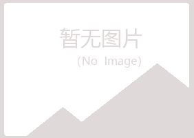 兴山区岑迷媒体有限公司